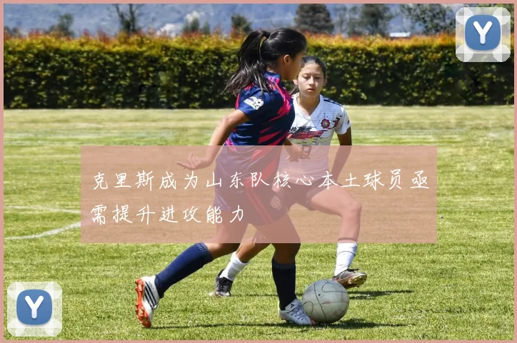 克里斯成为山东队核心本土球员亟需提升进攻能力